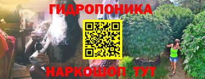 амф Ярославль