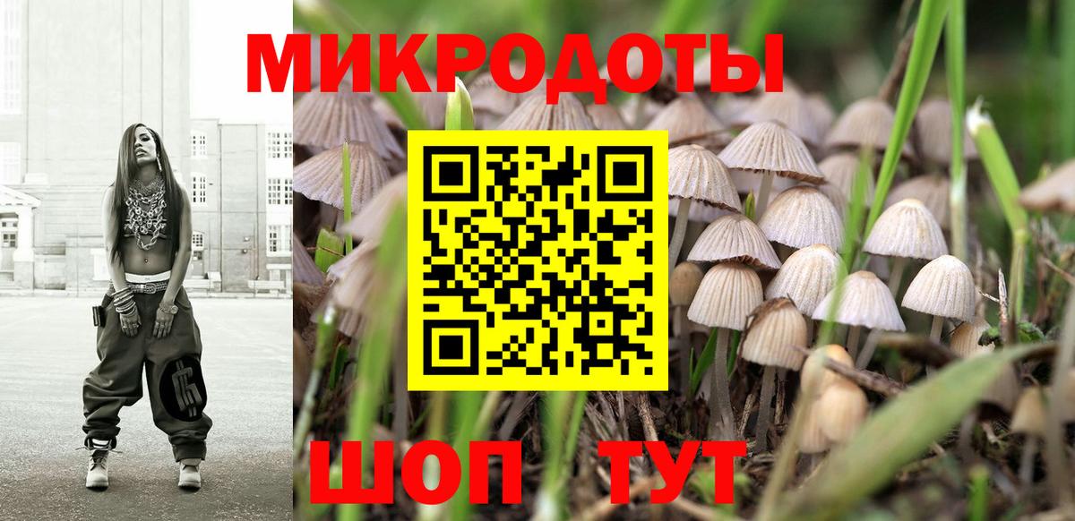 Псилоцибиновые грибы Psilocybine cubensis  Вход с VPN  Бахчисарай  Псилоцибиновые грибы прущие грибы 